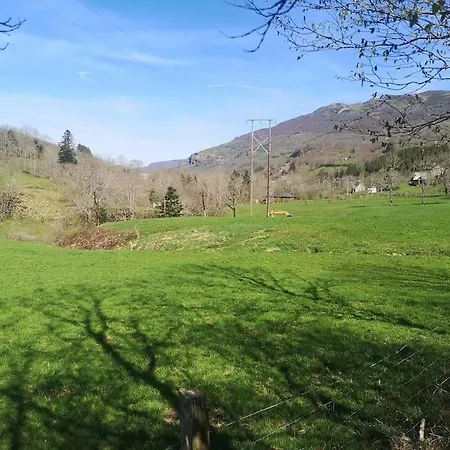 Charmant Gite De Montagne Avec Cheminee Saint-Paul-de-Salers Exterior photo