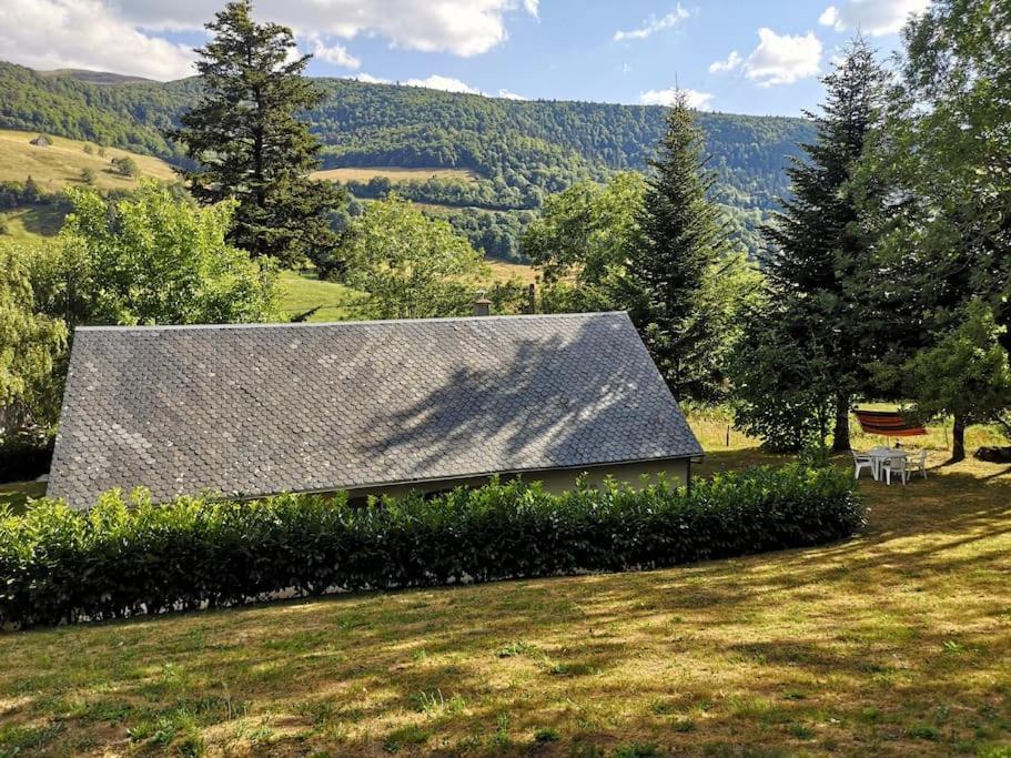 De Montagne Avec Cheminee