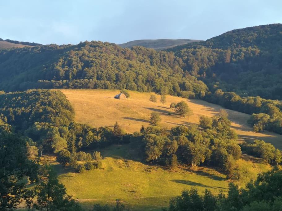 De Montagne Avec Cheminee * Saint-Paul-de-Salers